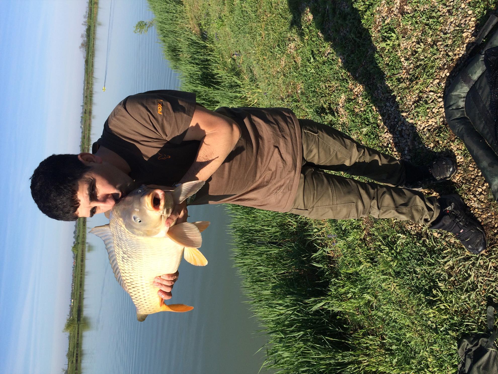 Balta mobydick dorlot - image1111111111.jpg